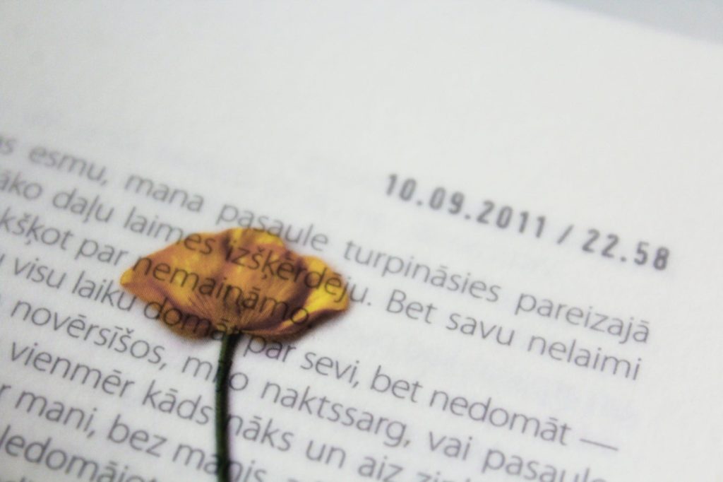 white paper with dried flower